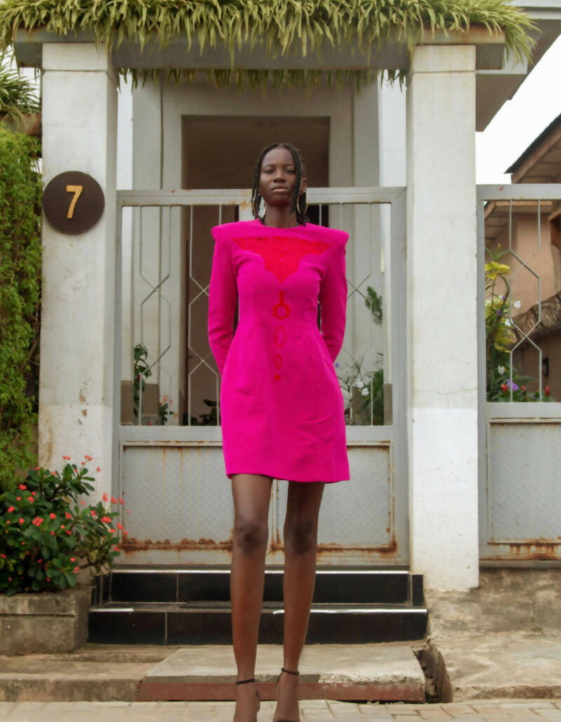 Embroidered Long Sleeve Mini Dress. ADJOAA Embroidered Long Sleeve Mini Dress. ADJOAA