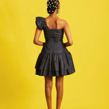 Hassana Denim Mini Dress