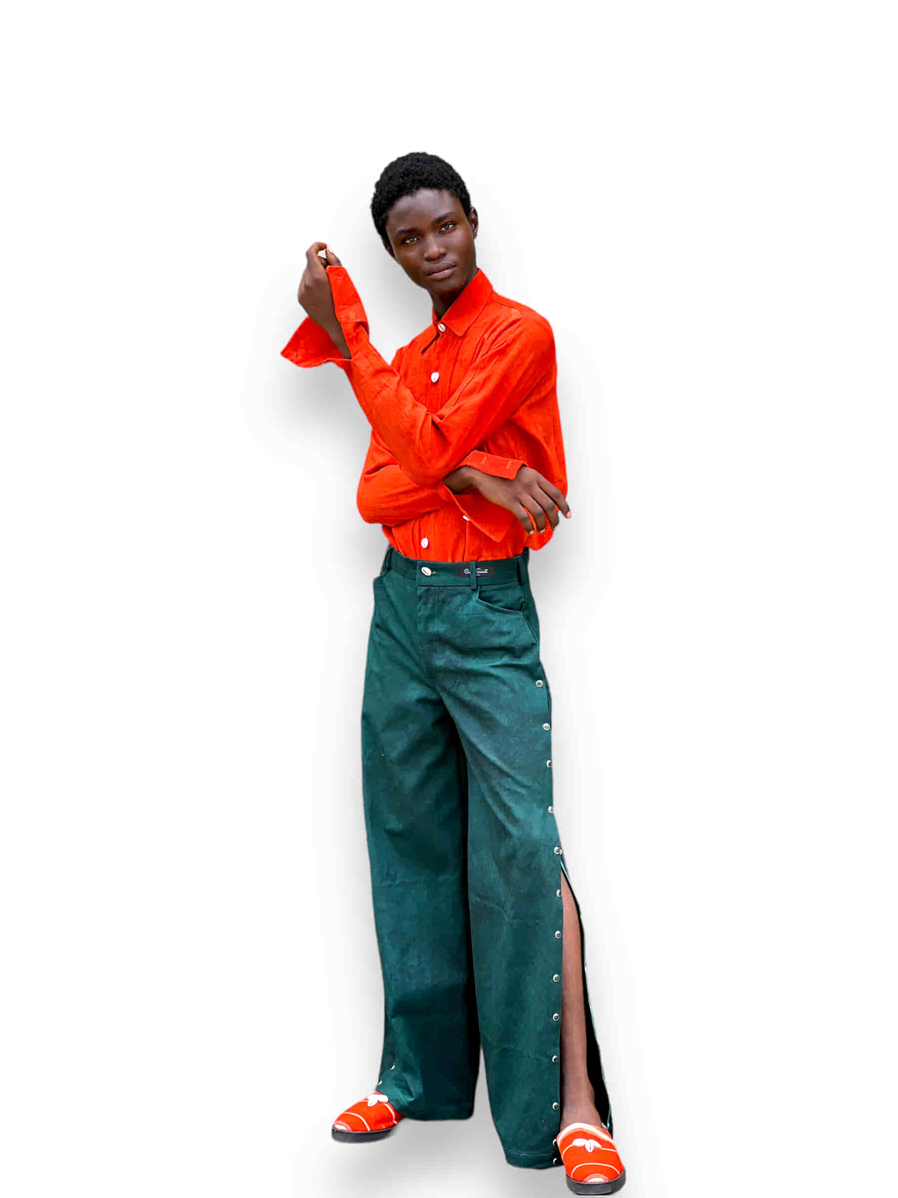 Slide image