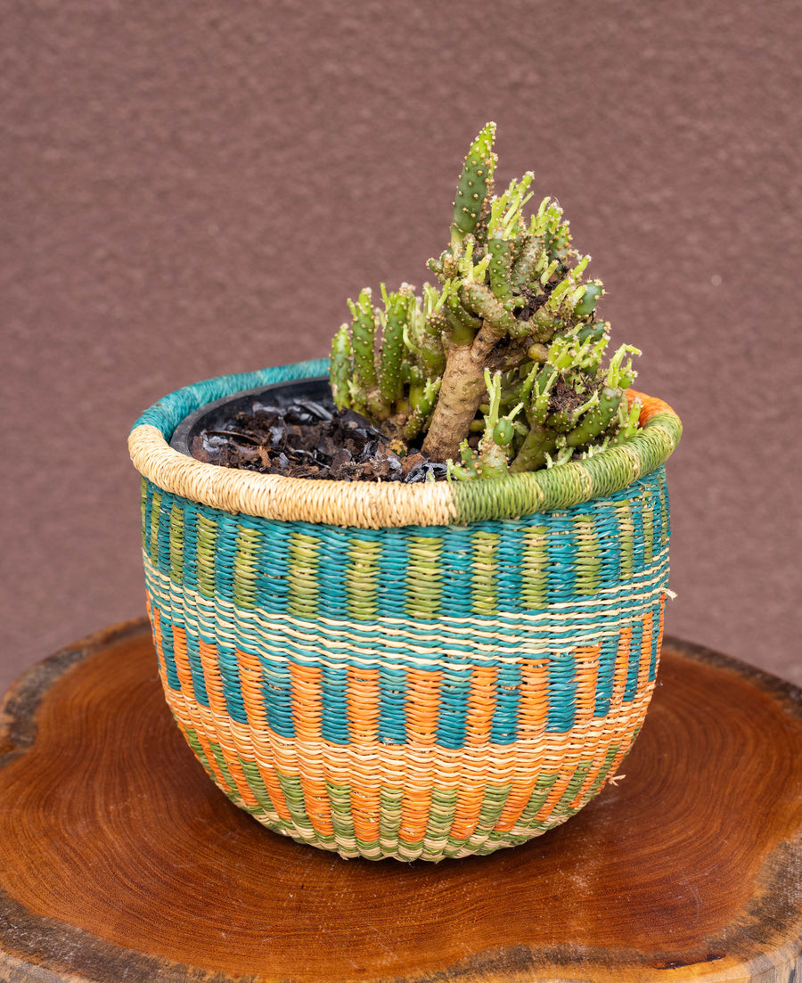 woven pot plant baskets storage basket | The Artisan Collection | African accessories